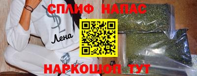 гашик Кинель