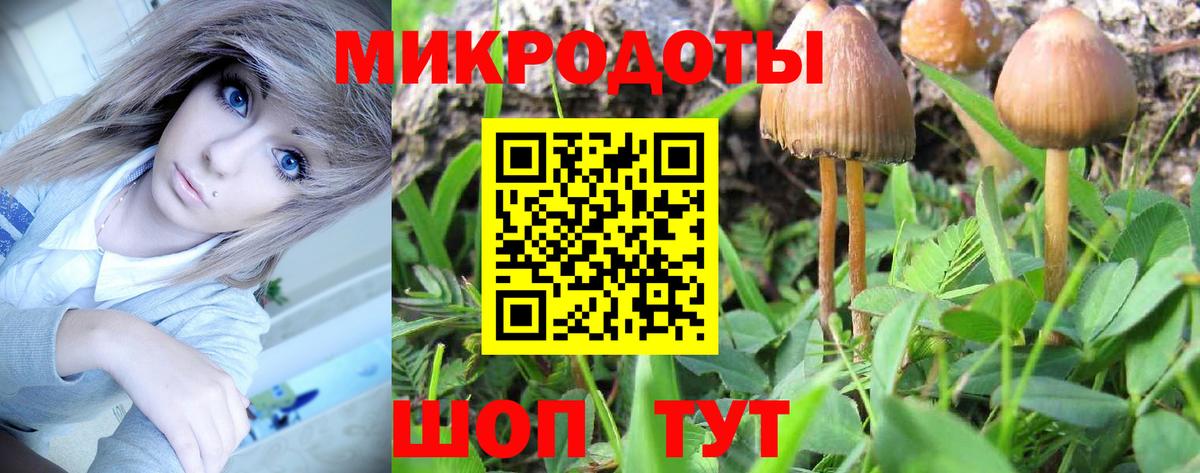 Псилоцибиновые грибы прущие грибы Кирово-Чепецк