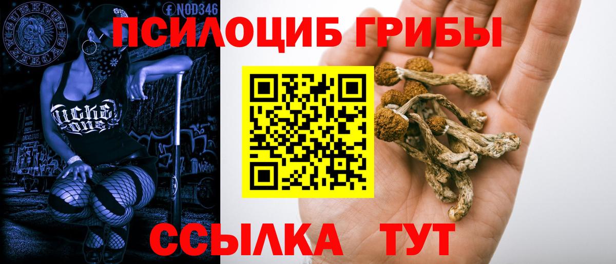 Псилоцибиновые грибы Psilocybine cubensis  Вход с VPN  Псилоцибиновые грибы MAGIC MUSHROOMS  наркотики  Кирово-Чепецк 